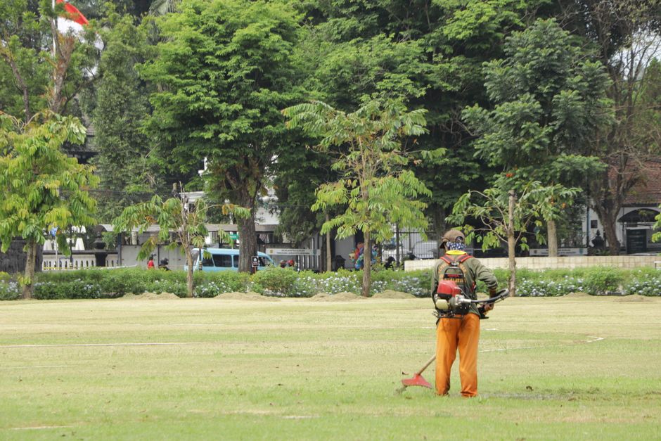 Professional lawn care specialist inspecting grass health